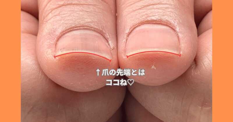 爪のエッジとはここのことです